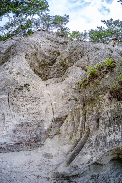 Gauja河岸边的Sietiniezis砂岩悬崖 — 图库照片
