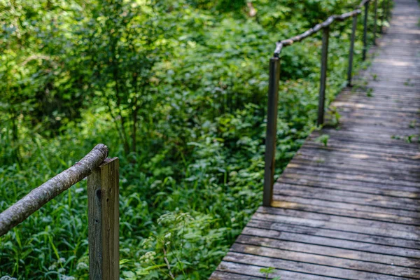 Régi fatábla gyaloghíd lépcsővel az erdőben — Stock Fotó