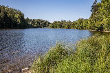yaz günü mavi su ile orman gölü ve eski yansımaları