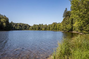 yaz günü mavi su ile orman gölü ve eski yansımaları