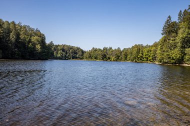 yaz günü mavi su ile orman gölü ve eski yansımaları