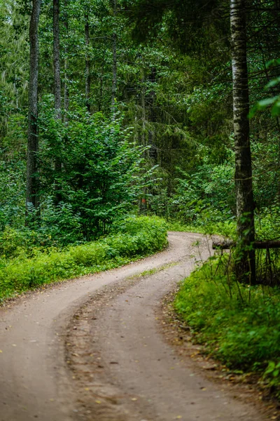 Yeşil yaz ormanında dalgalı çakıl yol — Stok fotoğraf