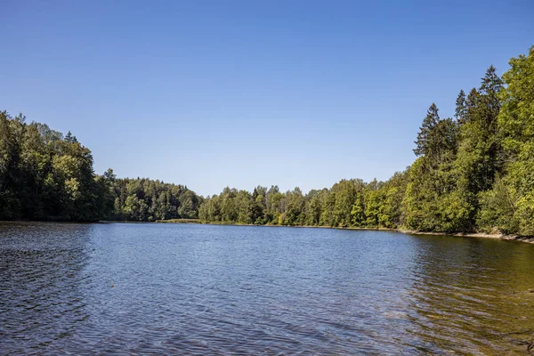 Lago di foresta con acqua blu nella giornata estiva e riflessi di vecchio — Foto Stock