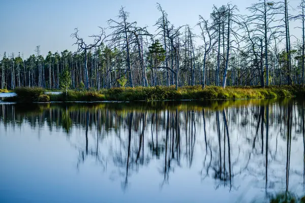 Lago del bosque con agua azul en el día de verano y reflejos de edad — Foto de Stock