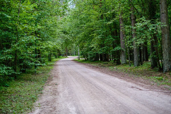 Wavy gravel road in green summer forest — Stock Photo, Image