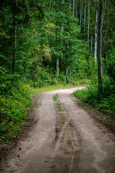 Strada sterrata ondulata nel verde bosco estivo — Foto Stock