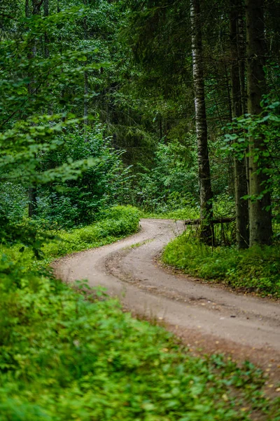 Estrada cascalho ondulado na floresta de verão verde — Fotografia de Stock