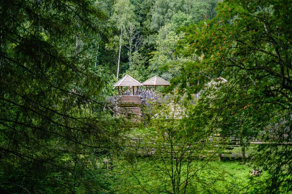Palacio castillo de madera en el bosque — Foto de Stock
