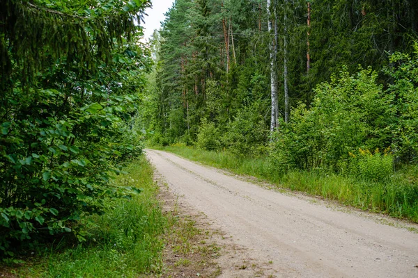Camino de grava ondulado en el verde bosque de verano — Foto de Stock