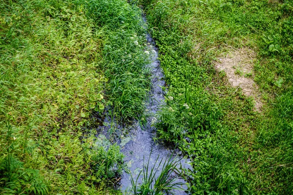 Grünes frisches Laub. Baumblatt im Sommertag im Sonnenlicht. abstra — Stockfoto