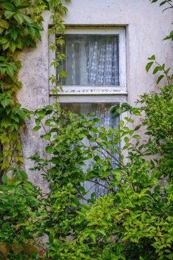 Sonbaharda cam ve kırmızı asma yapraklı eski kır evi pencere çerçevesi
