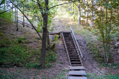 Yeşil ormandaki ıslak ahşap patika. Geleceğin doğa koruma alanına öncülük ediyor.