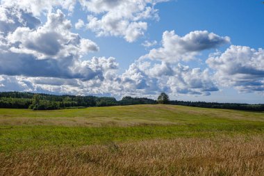 Yazın güneşli bir günde kırsal alan ve orman manzarası