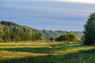 Yazın güneşli bir günde kırsal alan ve orman manzarası