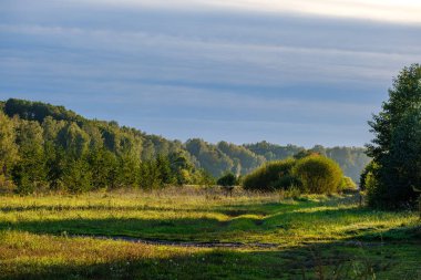 Yazın güneşli bir günde kırsal alan ve orman manzarası