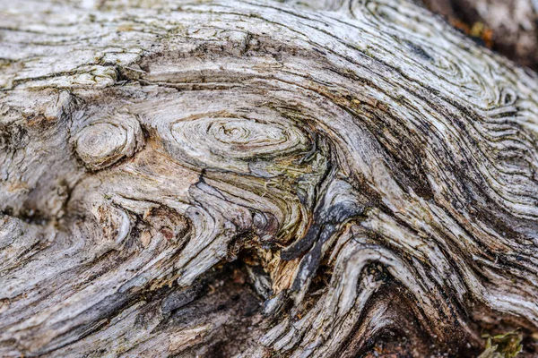 Viejo Registro Madera Textura Abstracta Árbol Envejecimiento Patrón Tronco —  Fotos de Stock