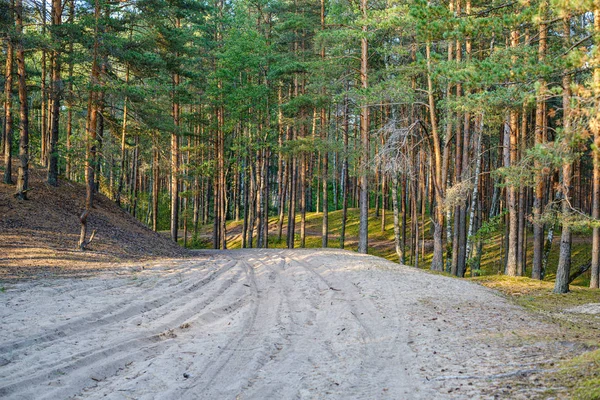 Dirty Gravel Road Green Forest Wet Trees Sun Rays Perspective — Stock Photo, Image