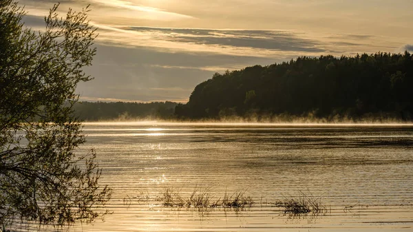 Farbenfrohe Herbstabendszene Der Landschaft Fluss Mit Alten Blättern Wasser Suuny — Stockfoto