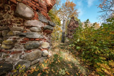 Altın sarısı ağaç yaprakları parktaki handa.