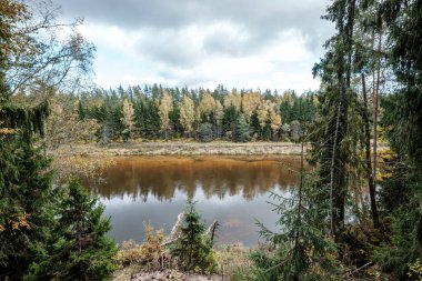 Sonbaharda güzel doğal göl ya da nehir