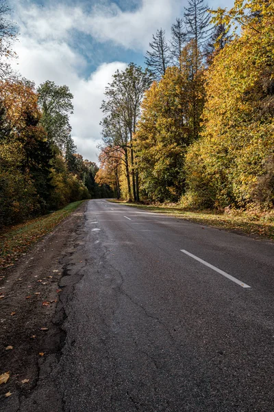 Golden yellow autumn road in sunny day — Stock Photo, Image