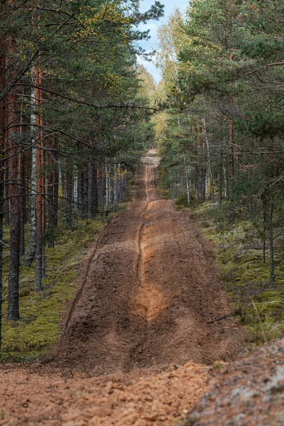 Pequeño sendero estrecho en el bosque — Foto de Stock