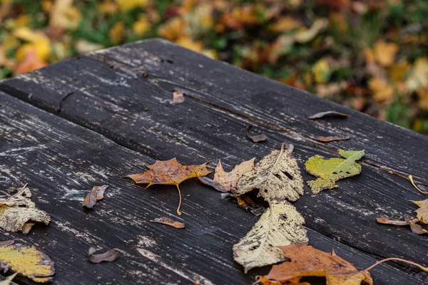 Goldenes Herbstlaub auf altem Holztisch — Stockfoto