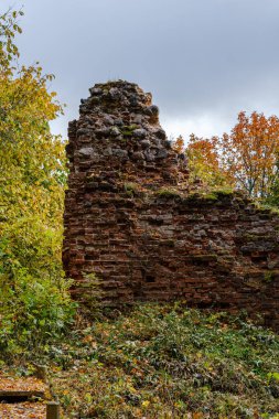 Sonbahar ağaçlarının yaprakları ormandaki büyük kayaların üzerinde