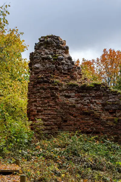 Sonbahar ağaçlarının yaprakları ormandaki büyük kayaların üzerinde