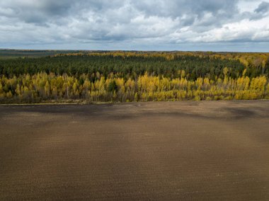 Letonya 'da ekili tarlalar ve tarlalar ile kırsal görünüm