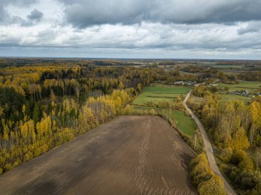 Letonya 'da ekili tarlalar ve tarlalar ile kırsal görünüm
