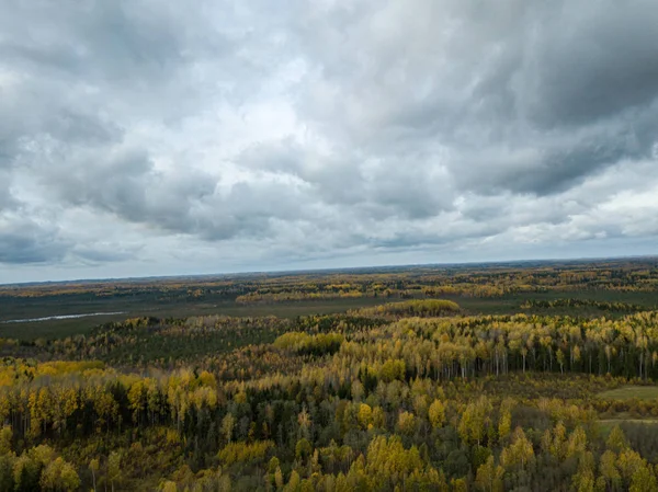 Podzimní pomerančový a zelený les listnatých stromů shora. dro — Stock fotografie