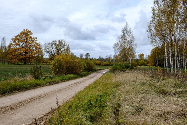 Strada di campagna in autunno — Foto Stock