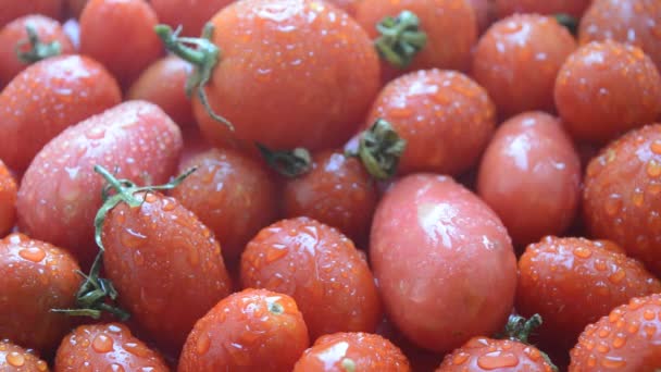 Rijp rode tomaten met waterdruppels close-up in grote hoeveelheden — Stockvideo