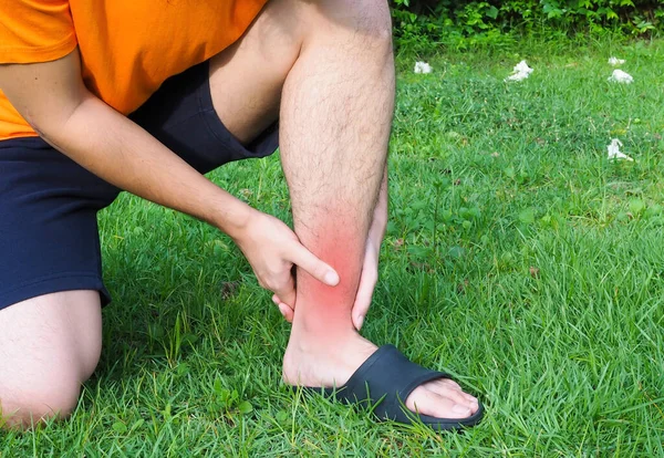 Man People Acute Ankle Sprain Walking Garden Feeling Bad — Stock Photo, Image