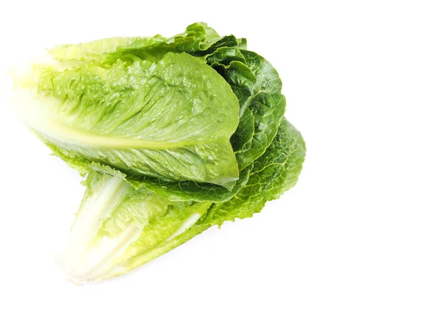 Top View Cos Lettuce Romaine Lettuce Fresh Baby Cos Vegetable — Stock Photo, Image