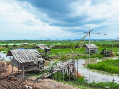 Thale ya da Talay Noi 'de eski kulübeleri olan kırsal kesimdeki balıkçıların hayatı, Phatthalung Tayland' daki Songkhla Gölü.