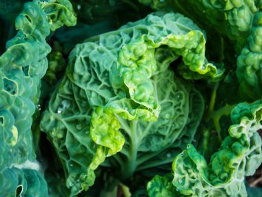 Tatlı Yeşil Kale Yakın plan