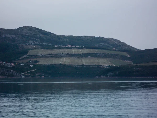 Güzel Dalmaçya Tepesi Deniz Manzarası — Stok fotoğraf
