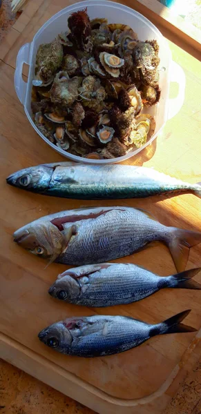 Caught Fish Macro Close — Stock Photo, Image