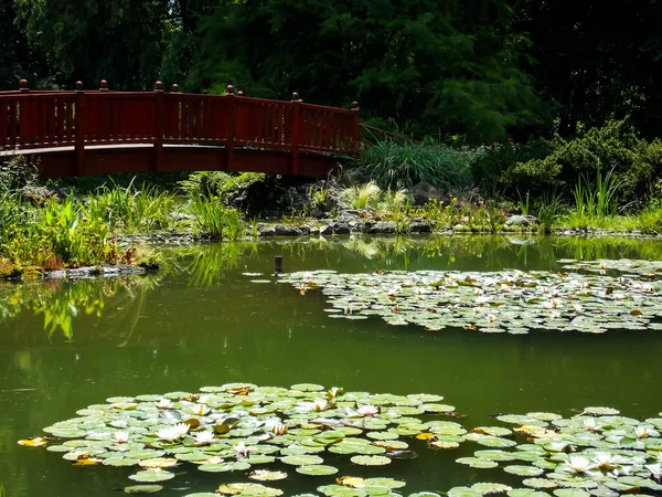 Chorvatsko Záhřeb Botanická Zahrada Photo — Stock fotografie