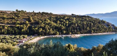 Zeytin Ağacı Deniz Burnu Duvar Kağıdı Arkaplanı