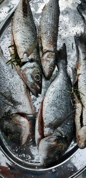 Fresh Fish Tray Close — Stock Photo, Image