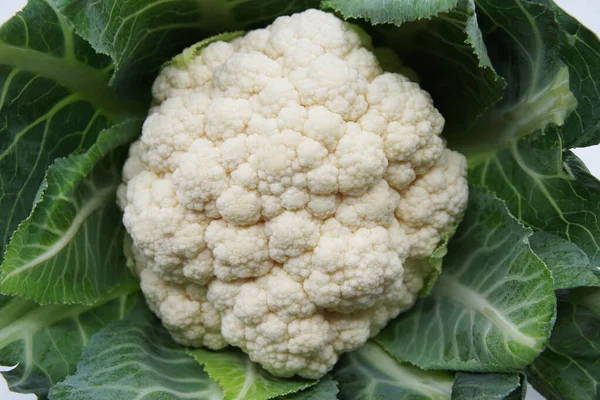 Cauliflower Vegetable Head Top View Fresh Raw Vegan Food — Stock Photo, Image