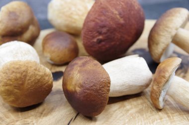 Boletus mantarları pişirmeye hazır. Tahta tepside Boletuson. Boletus Edulis. Yakın çekim.