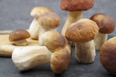 Boletus mantarları pişirmeye hazır. Tahta tepside Boletuson. Boletus Edulis. Yakın çekim.