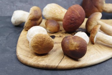 Boletus mantarları pişirmeye hazır. Tahta bir tepside Boletus. Boletus Edulis. Yakın çekim.