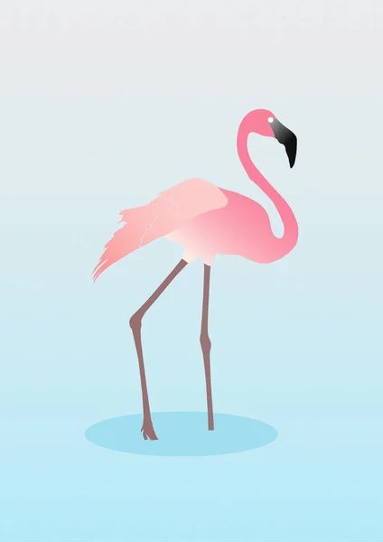 Flamingo Schilderen Muurschildering Van Een Flamingo Afdruk Afbeelding Van Flamingo — Stockvector