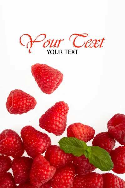 Beyaz arkaplanda ahududular var..