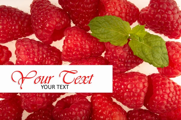 Beyaz arkaplanda ahududular var..